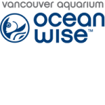 Oceanwise logo
